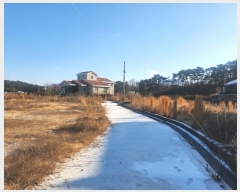  2025Ÿ1027   ̵ 82-2       ()