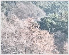  2025Ÿ��1065 ���� ������ ������ ���� ��104-2      ����(�Ӿ�)���