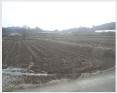  2025Ÿ��1129  ����