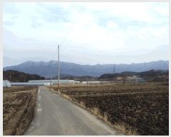  2025Ÿ��1129  ����