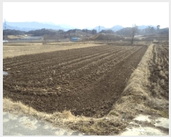  2025Ÿ��1129  ����