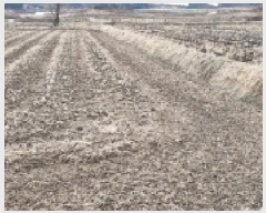  2025Ÿ��1129  ����