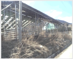  2025Ÿ1131  (󰡽ü)