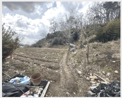  2025Ÿ1137   ο ϸ 335-1      (Ӿ)