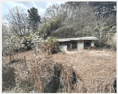  2025Ÿ1137   ο ϸ 335-1      (Ӿ)