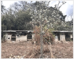  2025Ÿ1137   ο ϸ 335-1      (Ӿ)