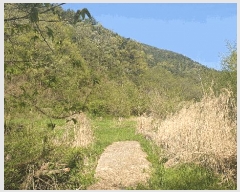  2025Ÿ��1139  ����