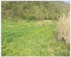  2025Ÿ��1139  ����