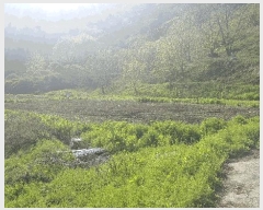  2025Ÿ��1139  ����