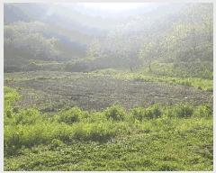  2025Ÿ��1139  ����