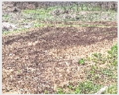  2025Ÿ��1139  ����