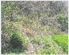  2025Ÿ��1139  ����