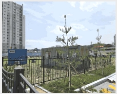  2025Ÿ��1141  ����