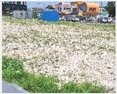  2025Ÿ��1141  ����