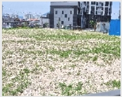  2025Ÿ��1141  ����