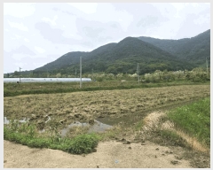  2025Ÿ��1143  ����