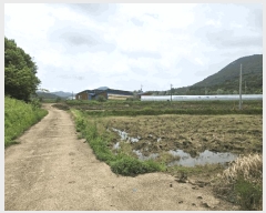  2025Ÿ��1143  ����