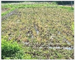  2025Ÿ��1143  ����