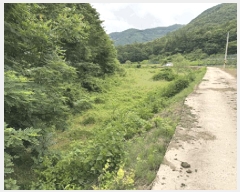  2025Ÿ��1147 ���� ��â�� ����� ���� 261-5      ����(��)���