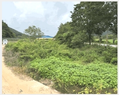  2025Ÿ��1147 ���� ��â�� ����� ���� 261-5      ����(��)���