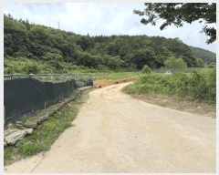  2025Ÿ��1147 ���� ��â�� ����� ���� 261-5      ����(��)���