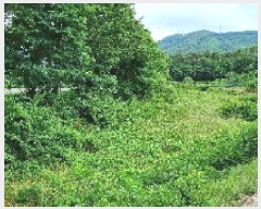  2025Ÿ��1147 ���� ��â�� ����� ���� 261-5      ����(��)���