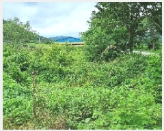  2025Ÿ��1147 ���� ��â�� ����� ���� 261-5      ����(��)���