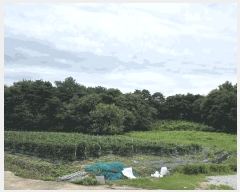  2025Ÿ��1153 ���� ������ ��Ÿ� ���Ÿ� ��27      ����(�Ӿ�)���