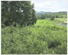  2025Ÿ��1153 ���� ������ ��Ÿ� ���Ÿ� ��27      ����(�Ӿ�)���