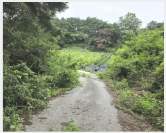  2025Ÿ��1153 ���� ������ ��Ÿ� ���Ÿ� ��27      ����(�Ӿ�)���