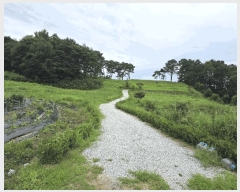  2025Ÿ��1153 ���� ������ ��Ÿ� ���Ÿ� ��27      ����(�Ӿ�)���