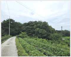  2025Ÿ��1153 ���� ������ ��Ÿ� ���Ÿ� ��27      ����(�Ӿ�)���