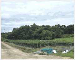  2025Ÿ��1153 ���� ������ ��Ÿ� ���Ÿ� ��27      ����(�Ӿ�)���