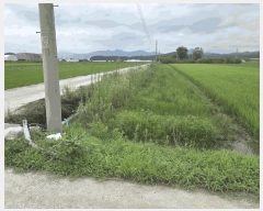  2025Ÿ��1156 ���� ������ �ֻ��� �󵿸� 865-6      ����(��)���