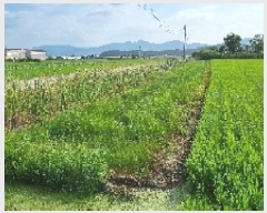  2025Ÿ��1156 ���� ������ �ֻ��� �󵿸� 865-6      ����(��)���