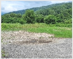  2025Ÿ��1157 ���� ����� ���� �� 501-1      ����(��)���