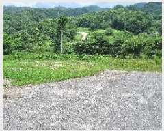  2025Ÿ��1157 ���� ����� ���� �� 501-1      ����(��)���