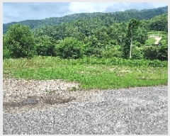  2025Ÿ��1157 ���� ����� ���� �� 501-1      ����(��)���