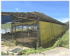  2025Ÿ��1159  ���(�󰡽ü�)���