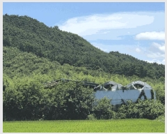  2025Ÿ��1159  ���(�󰡽ü�)���