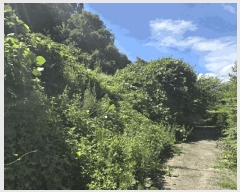  2025Ÿ��1161  �����