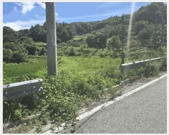  2025Ÿ��1161  �����