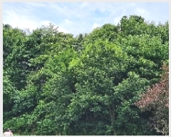  2025Ÿ��1161  �����