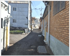  2025Ÿ��1163  �������