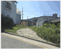  2025Ÿ��1163  �������