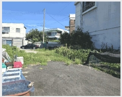  2025Ÿ��1163  �������