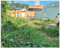  2025Ÿ��1163  �������