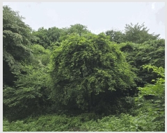  2025Ÿ��1165 ���� ����� ����� ���и� 957      ����(��1)���