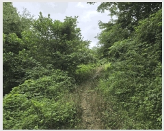  2025Ÿ��1165 ���� ����� ����� ���и� 957      ����(��1)���