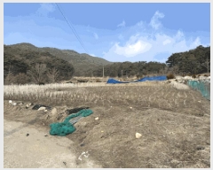  2025Ÿ30133   õ ġ 363-8      (1)